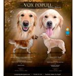 Criador golden retriever